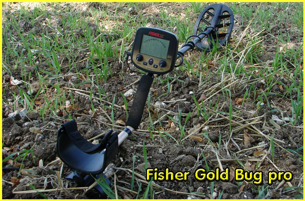Testing the Fisher Gold Bug Pro