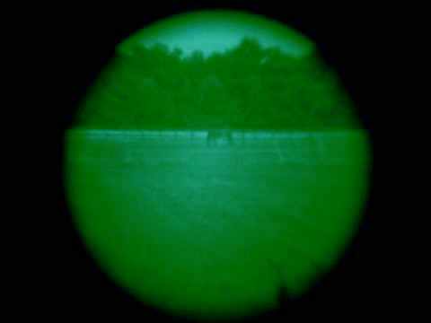 Horses viewed through a night vision scope